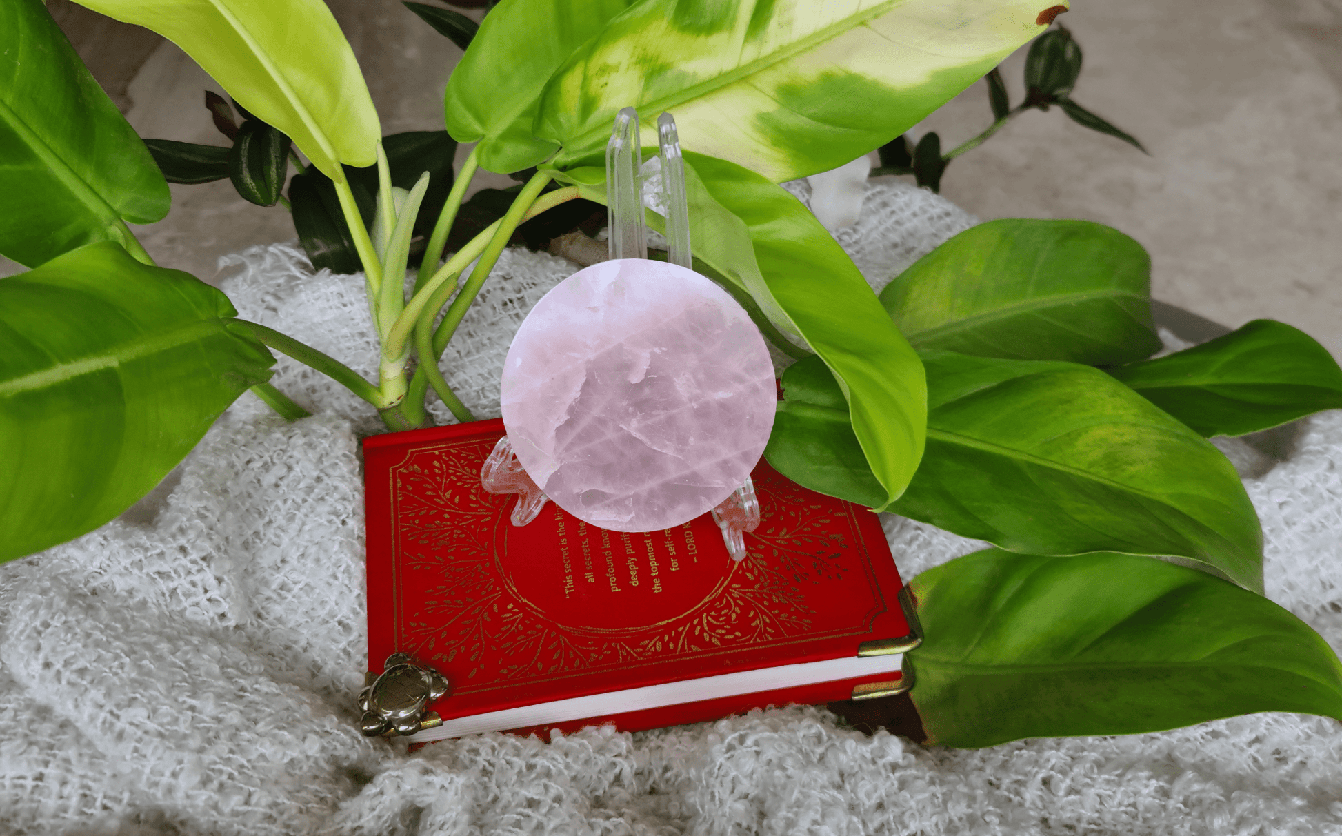 Rose Quartz Round Coaster 4" - Stepup9 - Stepup9 - Crystal