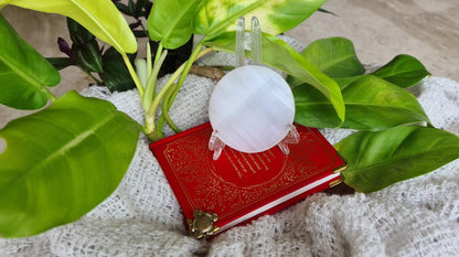 Stepup9's Study Collection