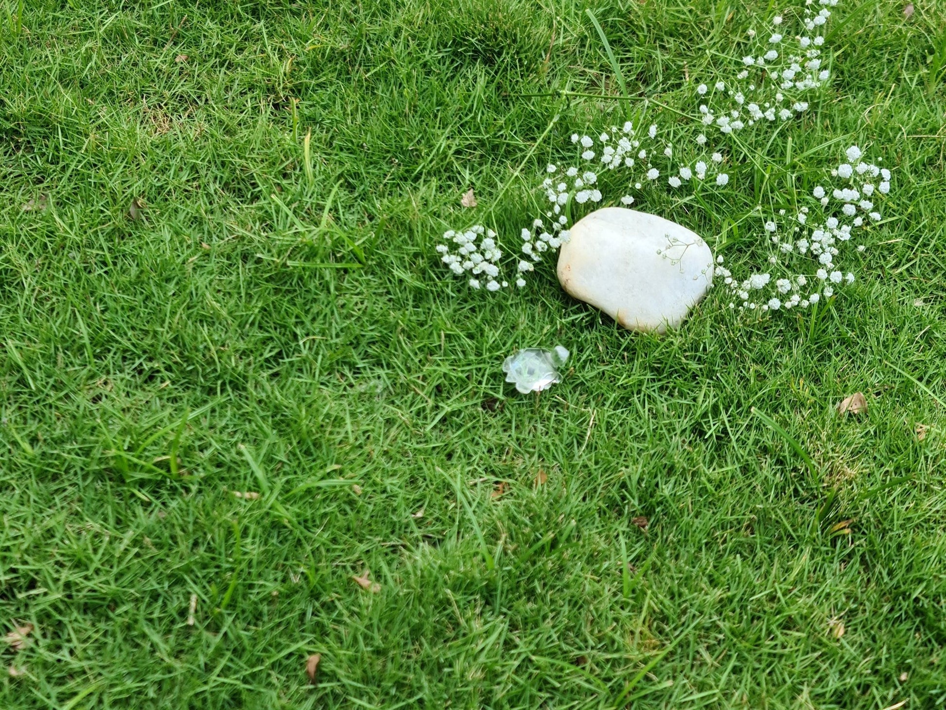 Tortoise - Clear Quartz Crystal - Stepup9